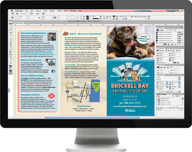 Veterinary Practice Brochure Design